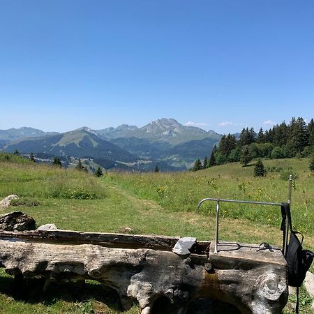 Chalet Yuki Morzine Dış mekan fotoğraf